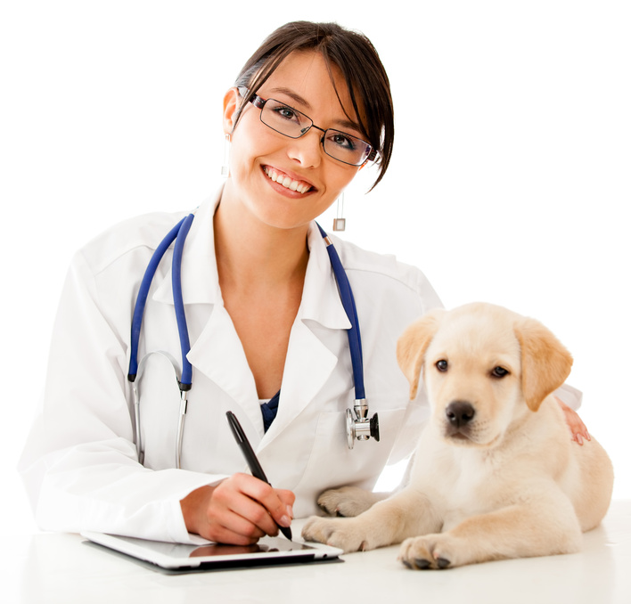 Animal Pet Doctor
